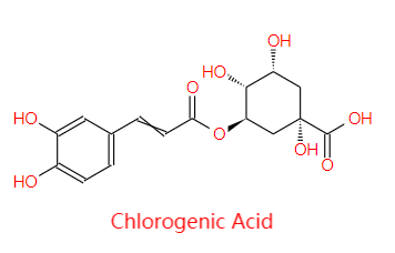 Honeysuckle Extract 2