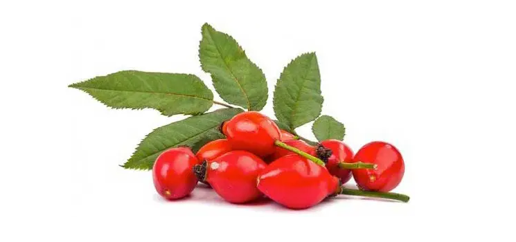 Rosehip Extract - Natural Anti3