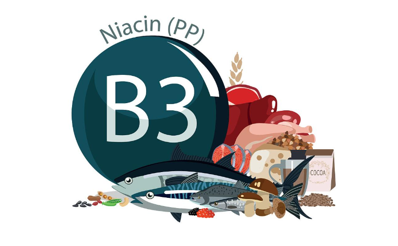 Vitamín B33