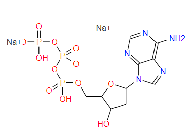 т1