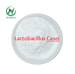 Lactobacillus Casei