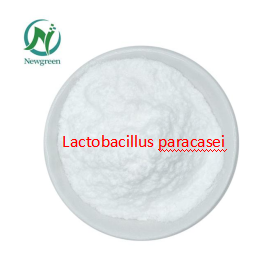 Lactobacillus paracasei